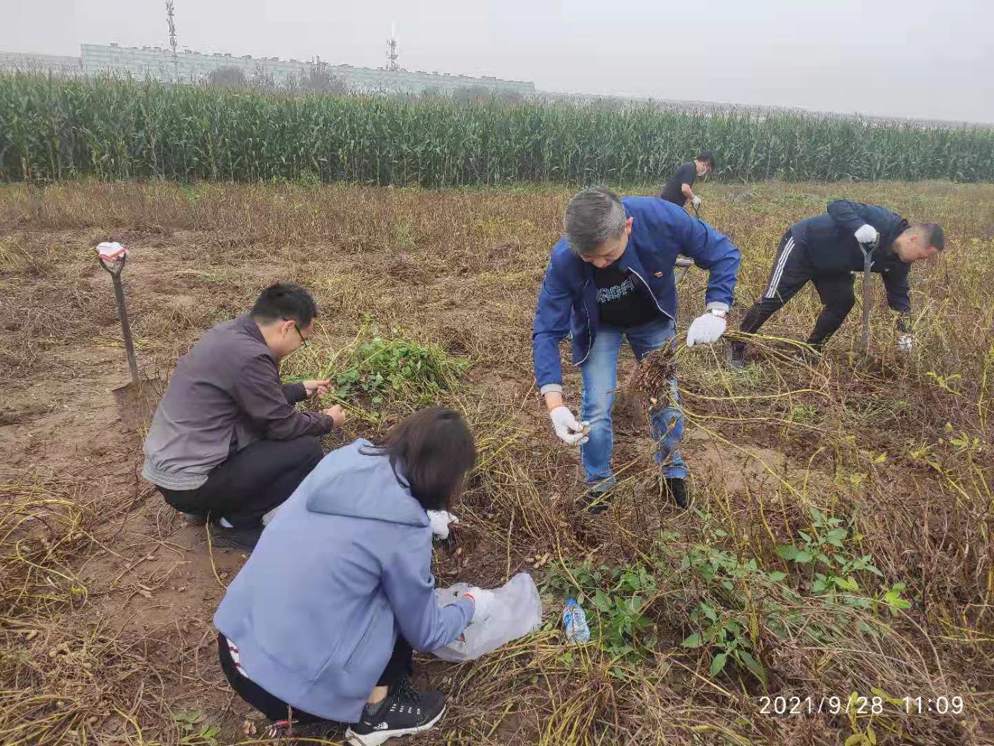 W020211011118769008558 upay钱包 -轻松支付,安心选择